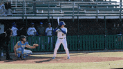 Baseball Homerun GIF by TCABB