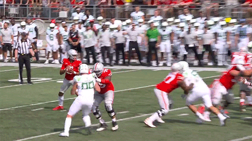Ohio State Buckeyes Football GIF by Ohio State Athletics