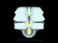 Art Loop GIF by THEOTHERCOLORS