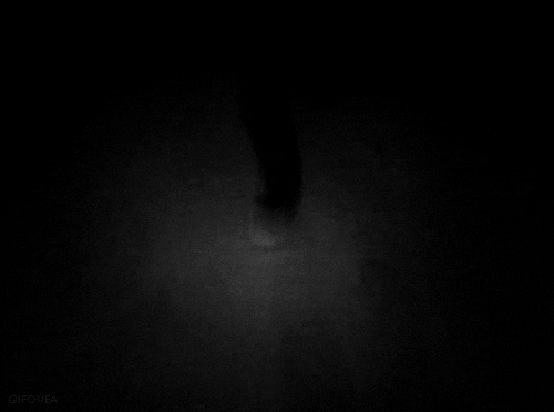 dark running GIF