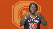 C-N Basketball GIF by Carson-Newman Athletics