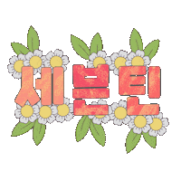 세븐틴 Carat Sticker