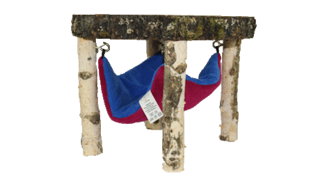 Bunny Bio Sticker by M.G. Nagerfarm