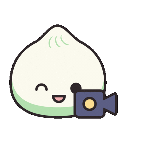 SoulDotSG giphyupload film camera dumpling Sticker