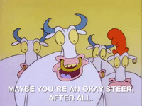 rockos modern life nicksplat GIF