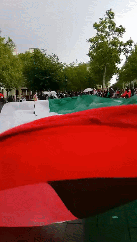 Thousands Gather at Pro-Palestinian Demonstration in Paris