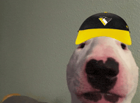 Ice Hockey Dog GIF