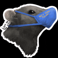 lostinthecity_ny mask nyc new york new york city GIF
