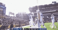 Regular Season Football GIF by NFL