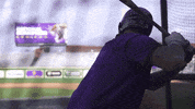 Lsu Baseball Sport GIF by LSU Tigers