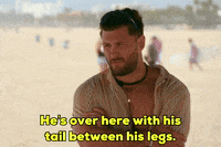 Okay_Decision hes over here with his tail between his legs GIF