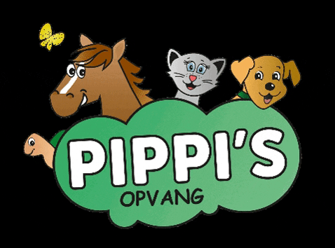 Donate GIF by Pippi's opvang