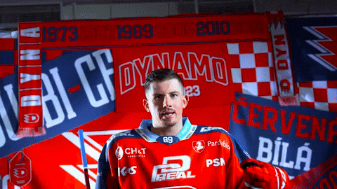 Hockeytown GIF by HC Dynamo Pardubice
