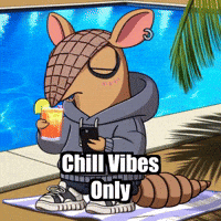 GIF by Chillo Dillo