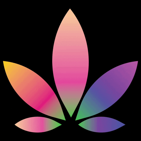Weedsies giphyattribution logo weed miami GIF