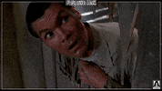 home alone film GIF by Arrow Video