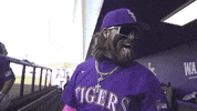 Baton Rouge Baseball GIF by LSU Tigers