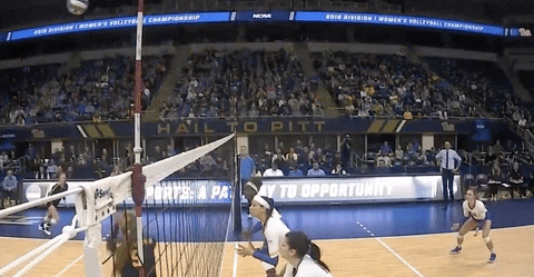 ncaasports giphyupload ncaa volleyball pittsburgh GIF