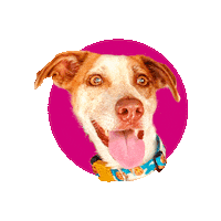 Dog Sticker by Pense Tanq