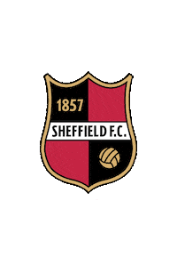 SheffieldFC soccer goal fifa sheffield Sticker