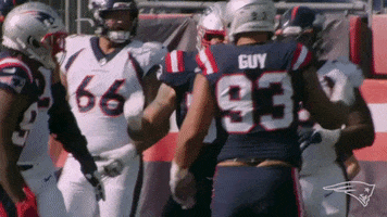 Lawrence Guy Reaction GIF by New England Patriots