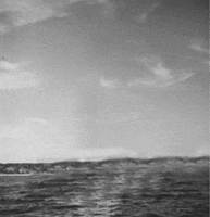 I Am Sailing Ocean GIF by GIF IT UP