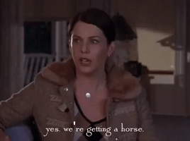 season 4 netflix GIF by Gilmore Girls 