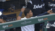 Happy Sport GIF by Detroit Tigers