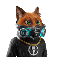 AnonymousFoxNFT eth nfts anonymous opensea Sticker