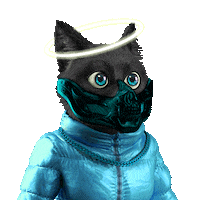 AnonymousFoxNFT eth nfts anonymous opensea Sticker