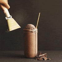 Ice Cream Chocolate GIF by tillamook