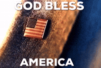 American Flag GIF by Markpain
