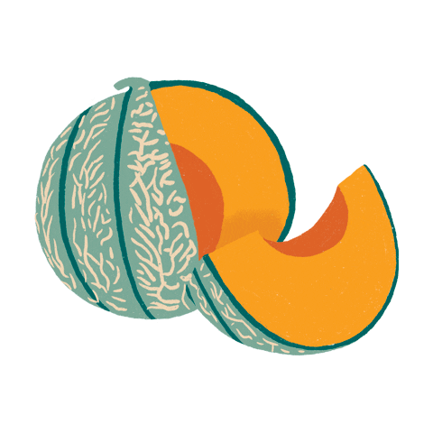 flobeaut food fruit fruits melon Sticker
