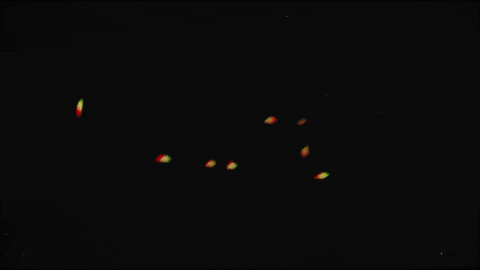 flipixio giphyupload GIF