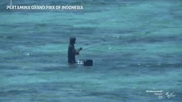 Racing Indonesia GIF by MotoGP™