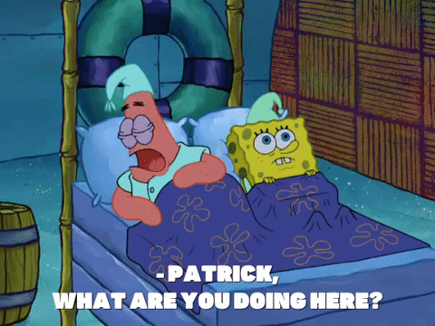 season 8 spongebob's runaway roadtrip: patrick's staycation GIF by SpongeBob SquarePants