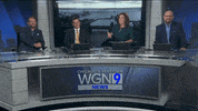 Chicago Bears Dancing GIF by WGN Morning News