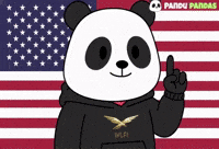 American Flag Panda GIF by Pandu Pandas