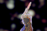art 3d GIF by sketchfab