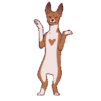 Unicornia93 dance dog hund basenji Sticker