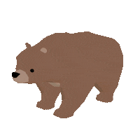 Bear 動物 Sticker