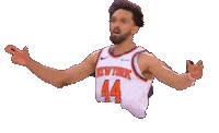 New York Knicks Sticker