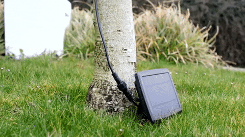 Handigelamp giphyupload handigelamp lichtslinger GIF