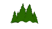 Trees Chills Sticker by Why Don't We
