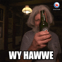 bier moai GIF by Omrop Fryslân