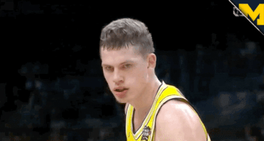 Lets Go Wolverines GIF by Michigan Athletics