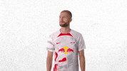 Football What GIF by RB Leipzig