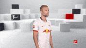 Posing Line Up GIF by Bundesliga