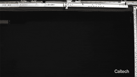 giphyupload GIF