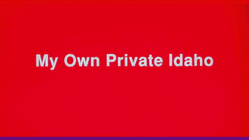 GIF by Film School Shorts